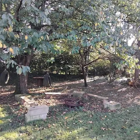 Lumineuse Proche וויסאן